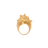Anillo Eggcentric