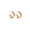 Trufa Micro Hoops