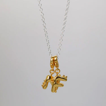 Single Cadena Plata 42cm