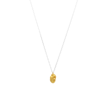 Cadena Anatomik Mini Gold & Silver