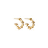 Trufa Micro Hoops