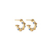Trufa Micro Hoops