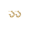 Trufa Micro Hoops